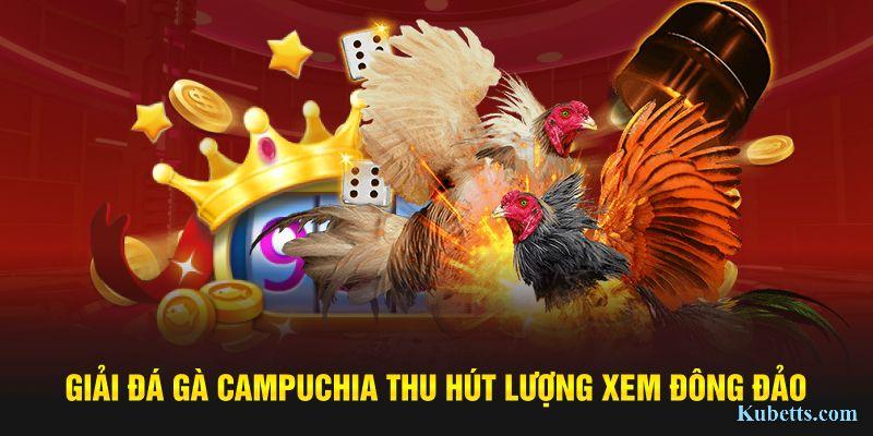 Giải đá gà Campuchia thu hút lượng xem đông đảo 